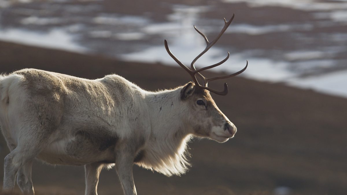 BBC ALBA - A' Ghaidhealtachd/Highlands, Episode 3