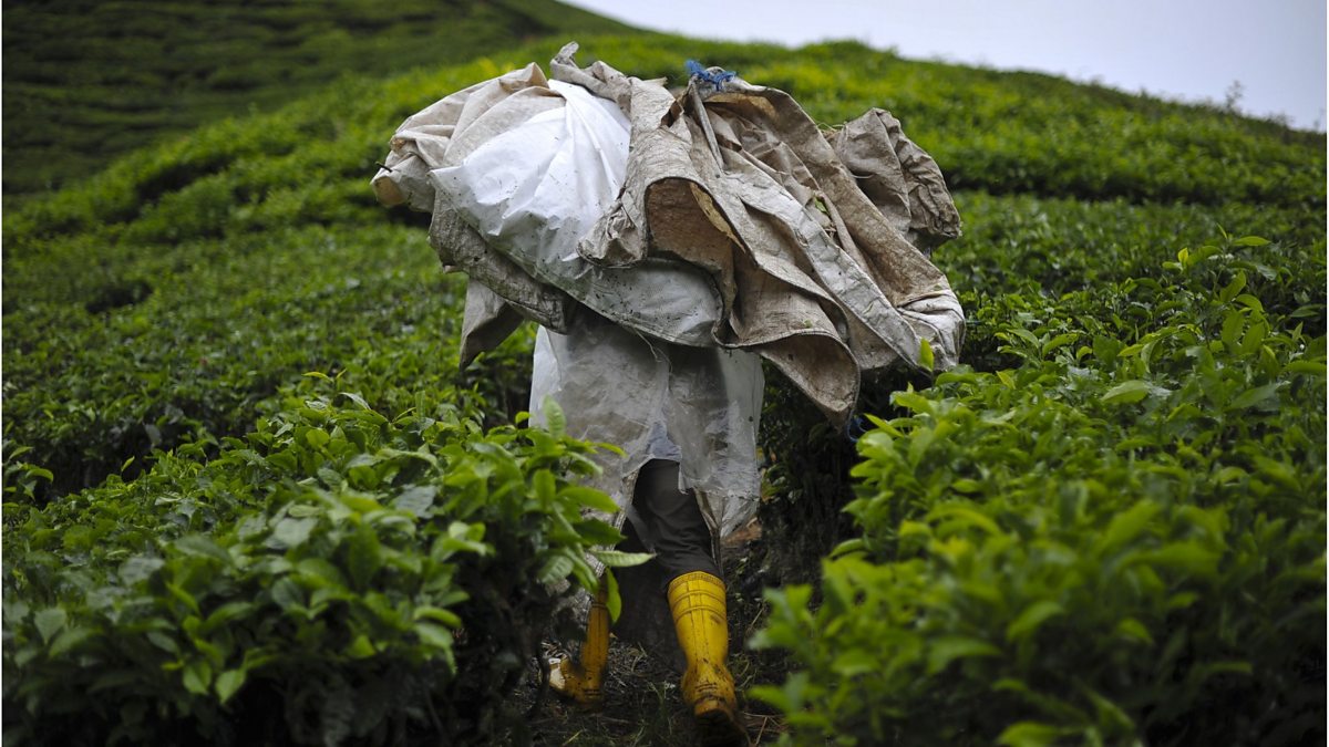 BBC World Service - Business Daily, Malaysia: Storm in a ...