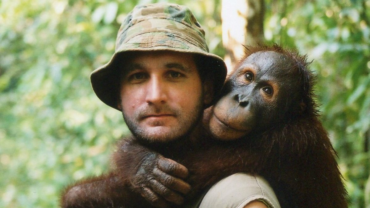 BBC World Service - Outlook, The Orangutan Whisperer