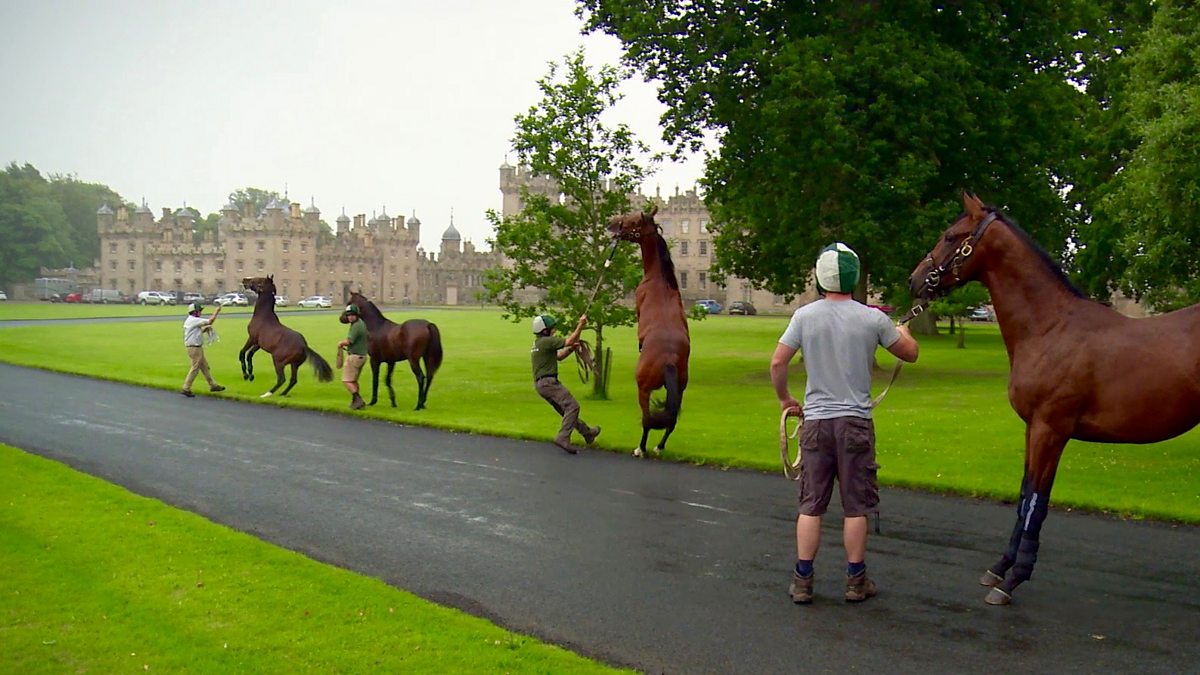 BBC Scotland The River, Episode 6, Anything can frighten a racehorse