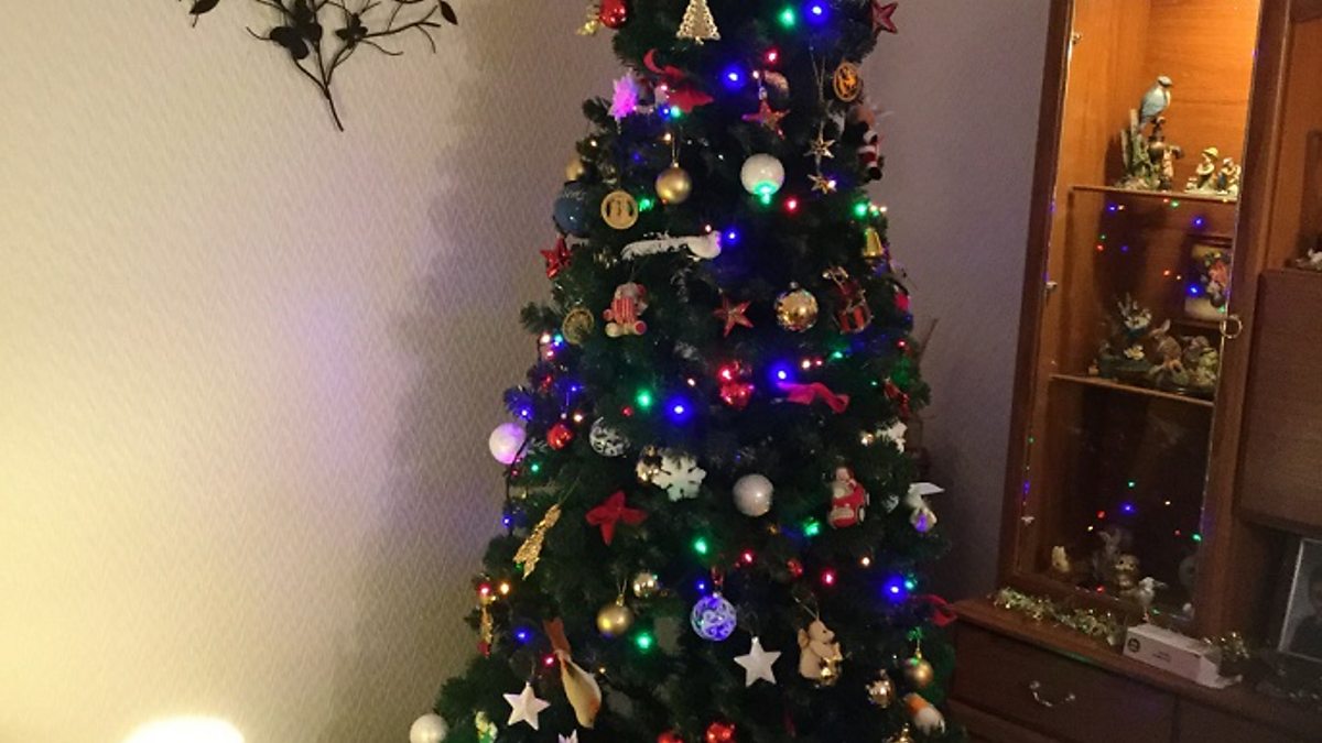 BBC Local Radio Ruth in Abingdon Paul Miller Christmas Trees 2016