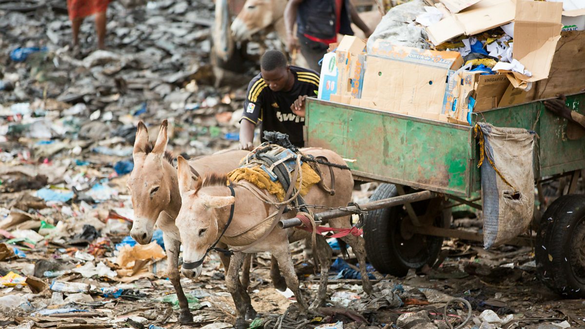 BBC World Service - Newsday, Why does China want African donkeys?