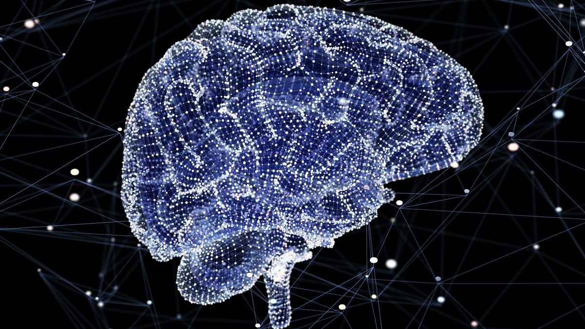 BBC World Service - Newshour, Why is it that we often don't want to ...