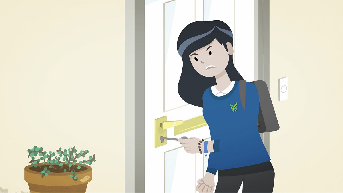 BBC Bitesize, Enzyme ‘lock and key’