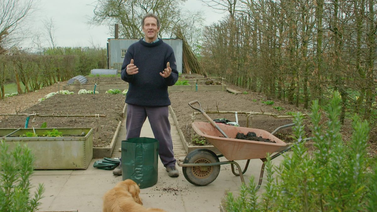 Growing Potatoes in a Bag - BBC Gardeners World Magazine