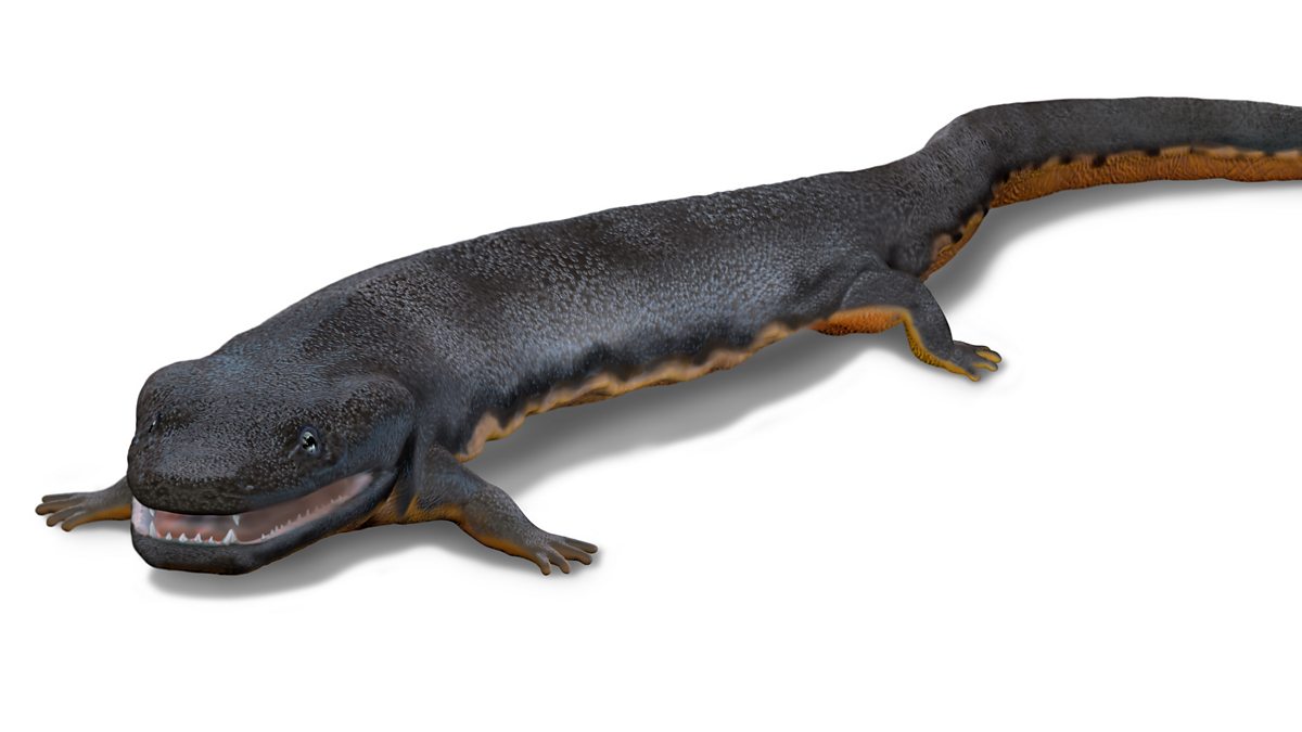 BBC Radio 4 The Life Scientific, Nick Fraser on Triassic reptiles