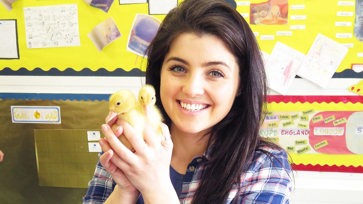 Bbc Cbeebies Down On The Farm Series 3 Ducklings And Spring Barley Credits