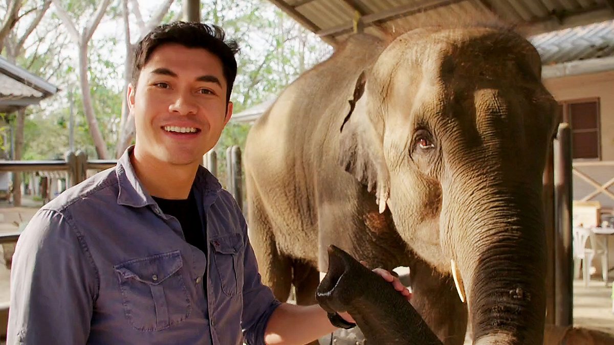 BBC News - The Travel Show, Thailand Elephant Hospital