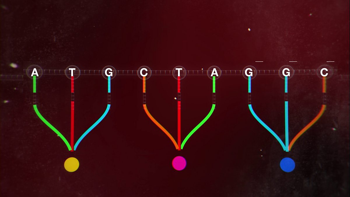 BBC Bitesize, National 5 DNA and proteins