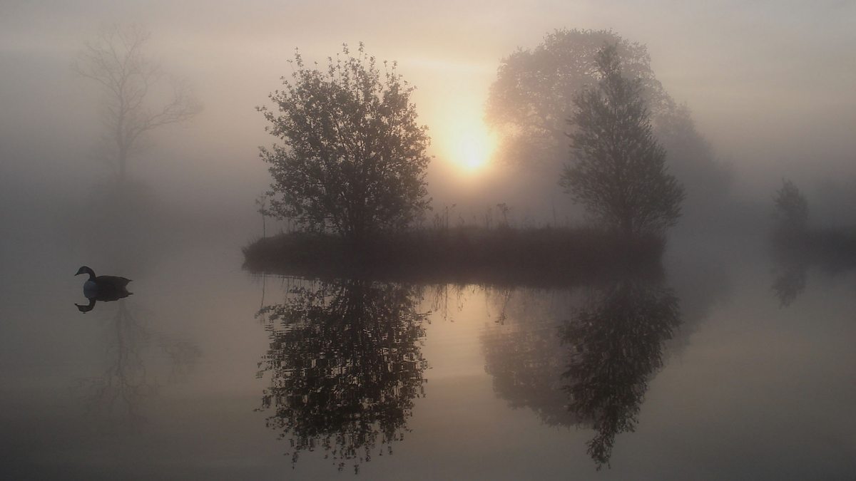 BBC Radio 4 Dawn Chorus Seven reasons to get up for the dawn chorus