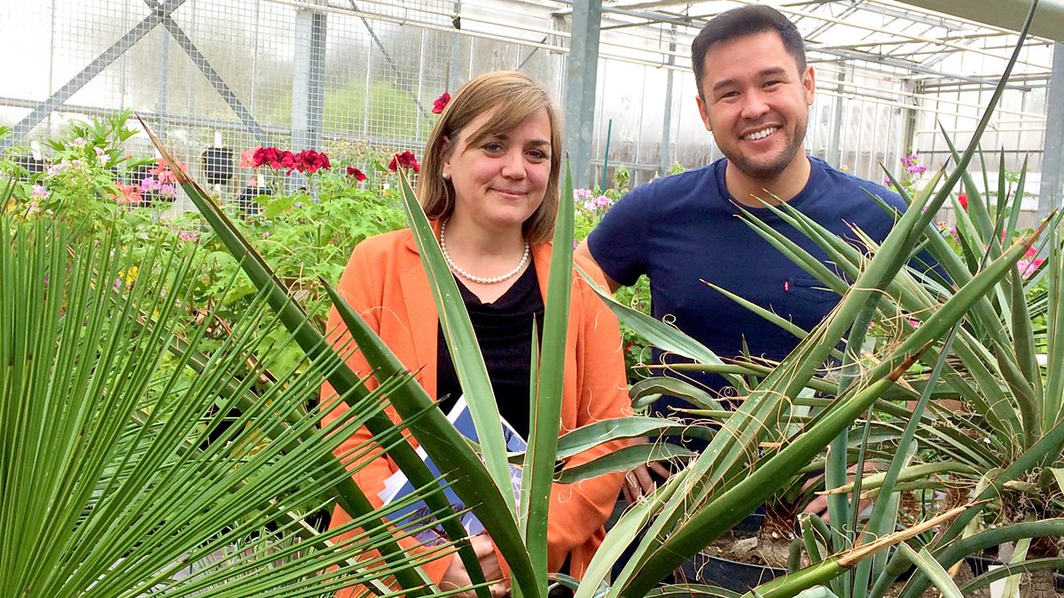 BBC Radio 4 Costing the Earth, James Wong on the World's Toughest Plants