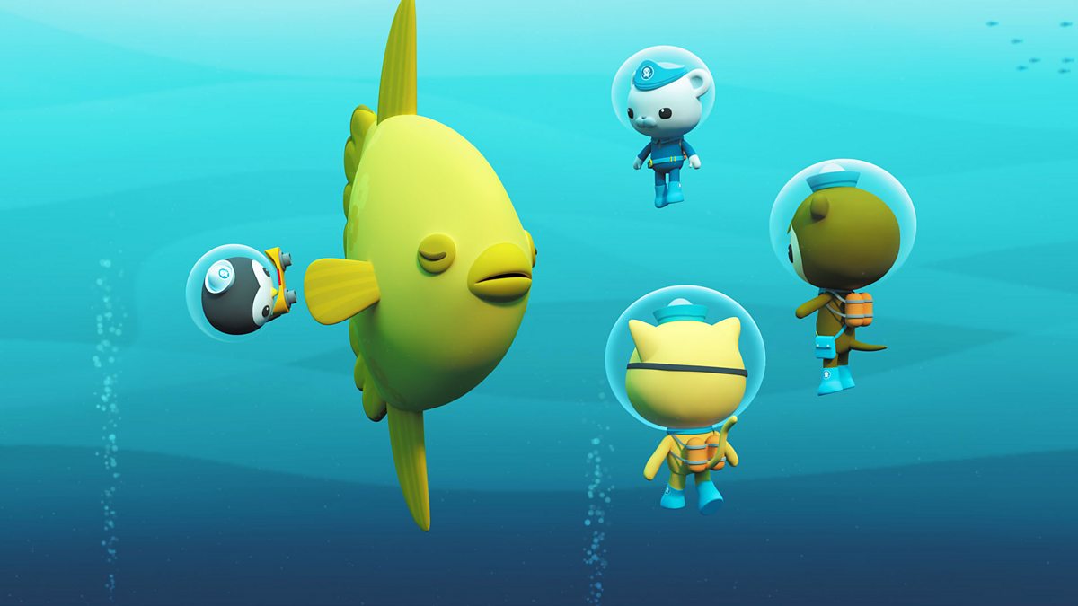 BBC iPlayer - Octonauts - Series 4: 14. Octonauts and the Sunfish