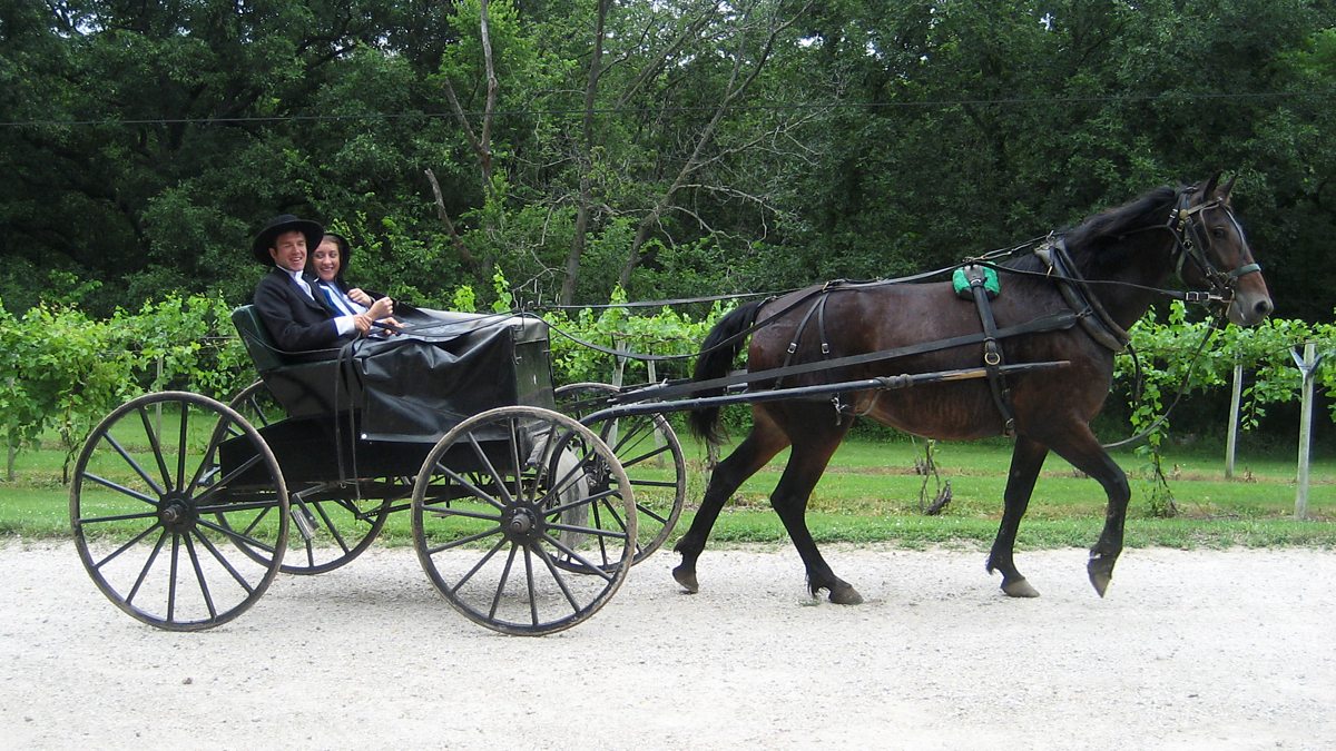 BBC ALBA - Amish at the Altar - Posaidhean Amish