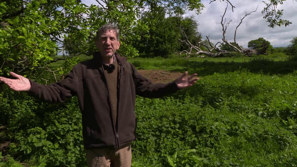 BBC Two - Springwatch, Live 2017, Brett introduces the new Springwatch site