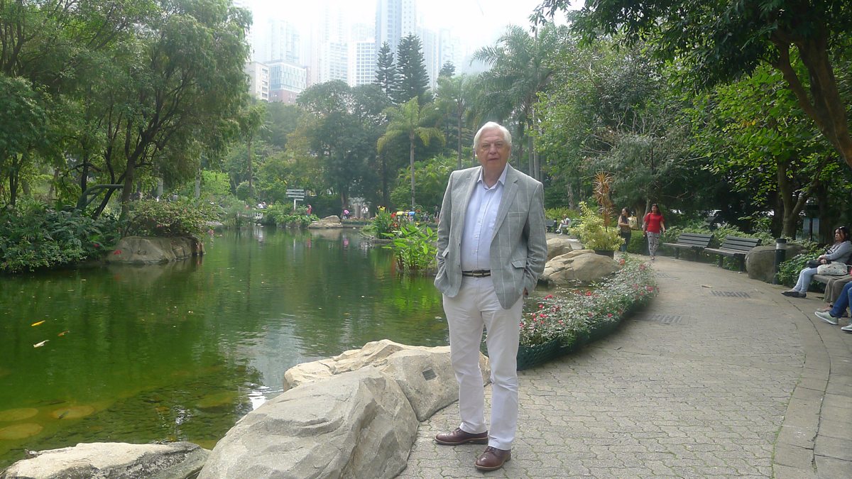 BBC World Service The Documentary, Hong Kong Twenty Years On