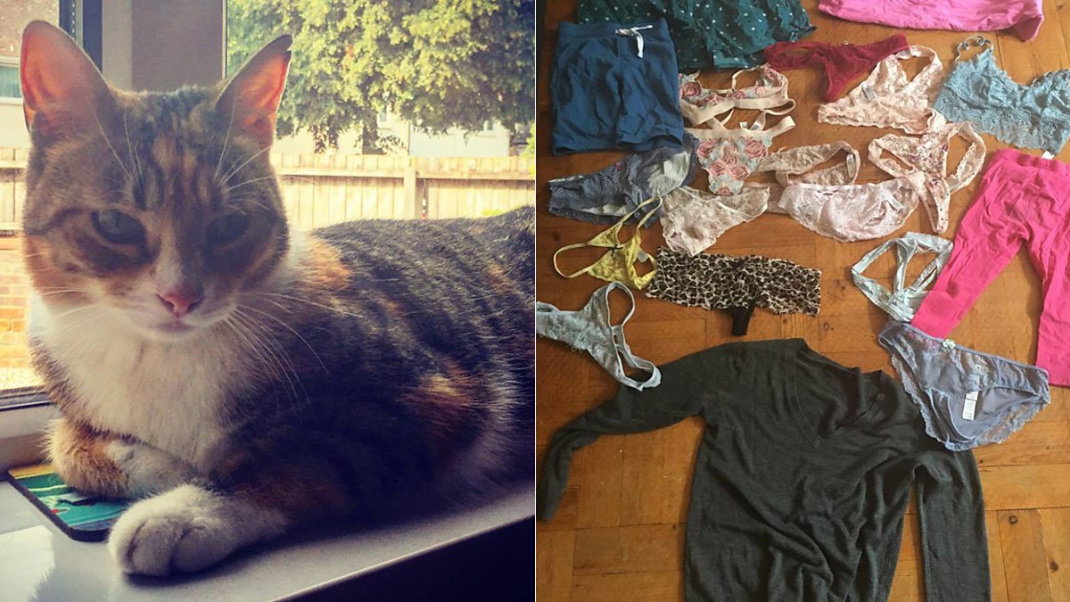 BBC Radio 5 Live 5 Live In Short, The cat who loves to steal