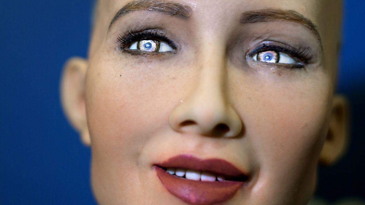BBC Radio 4 Today, How will robots change our sex lives?