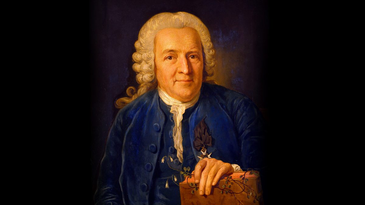 Шведский ботаник. К.Линней - (1707-1778).
