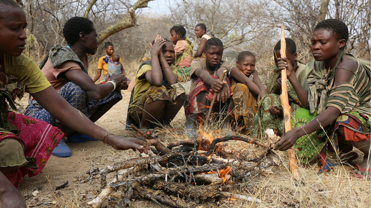 Bbc World Service - The Food Chain, Hunting With The Hadza, The African 