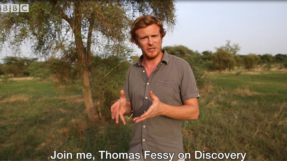 BBC World Service Discovery, Africa’s Great Green Wall, Africa's