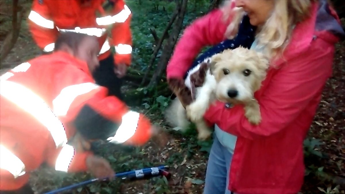 BBC Three Counties Radio - Roberto Perrone, 19/10/2017, Dog gets stuck ...