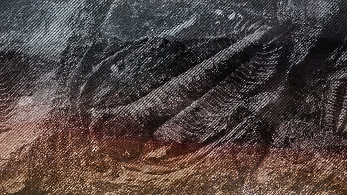 BBC Radio 4 Tracks, Series 1 Origin The ultimate fossil quiz