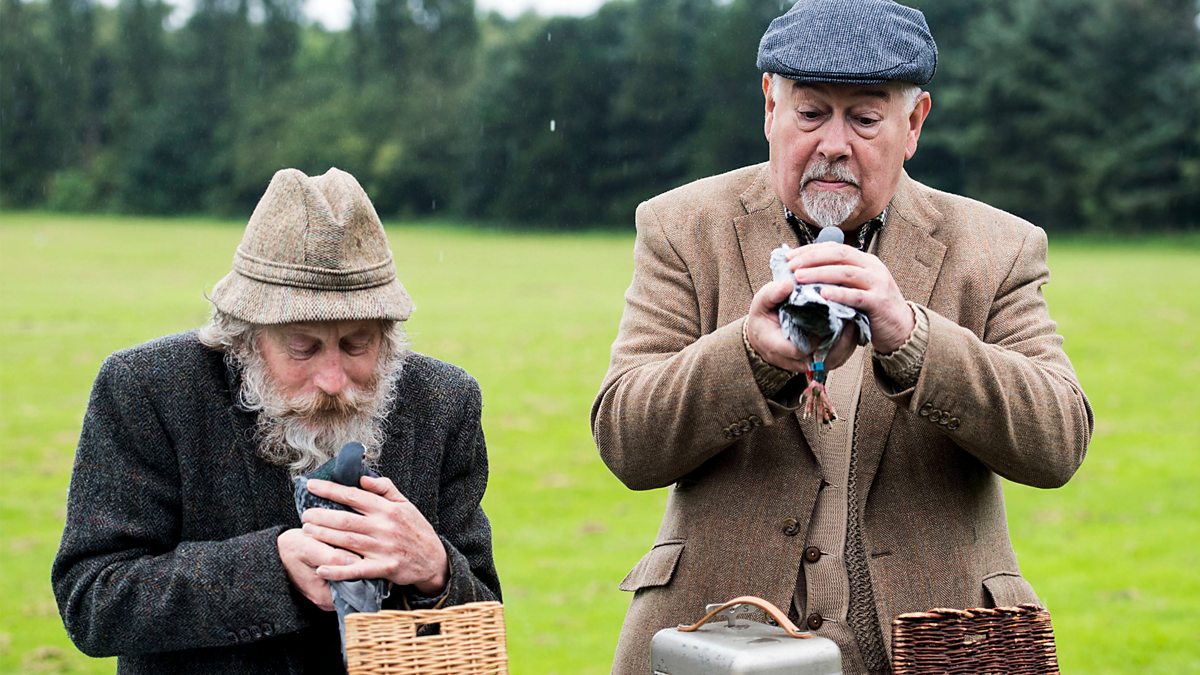 BBC One Armchair Detectives, Series 1, Pigeon Detectives