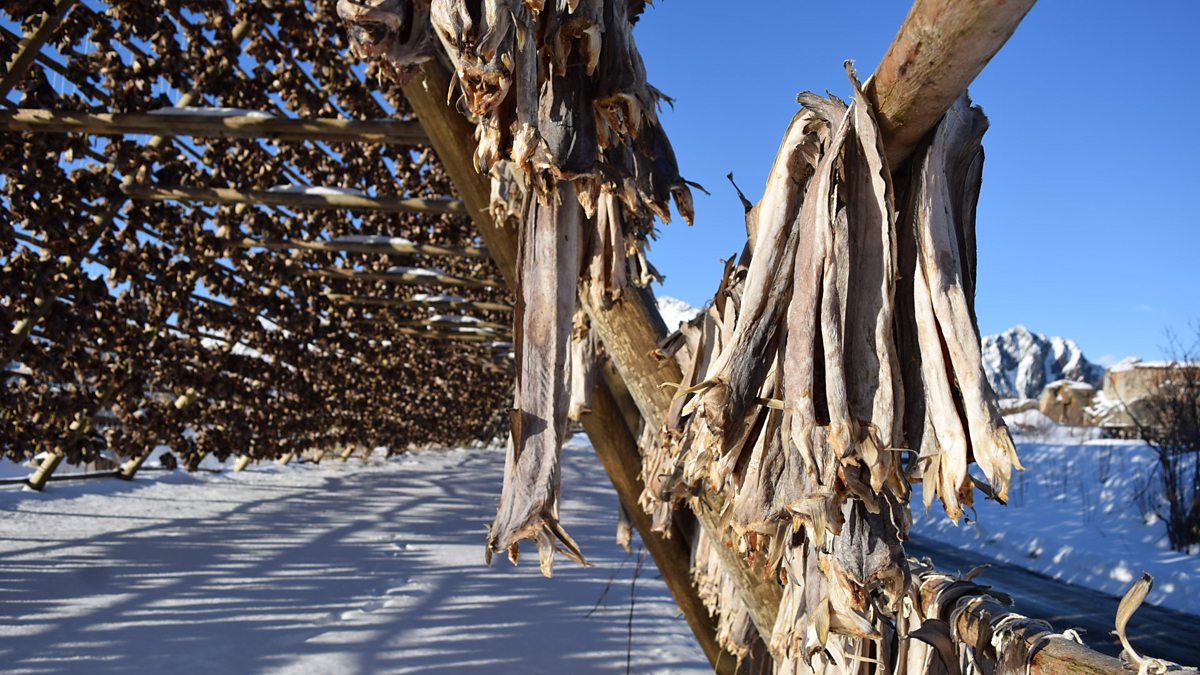 bbc-world-service-the-documentary-stockfish