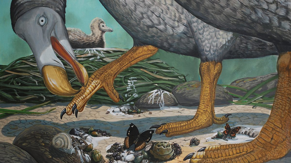 Scientists just took a step closer to resurrecting the dodo