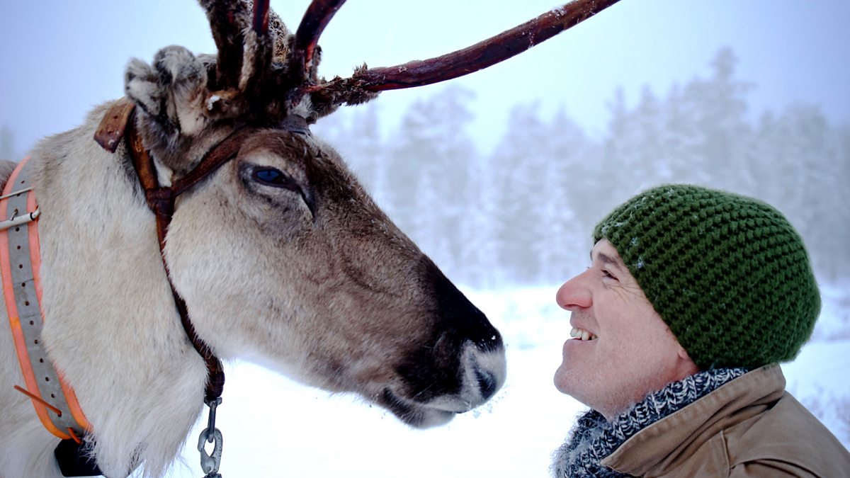 BBC Two Reindeer Family And Me bbc-two-reindeer-family-and-me