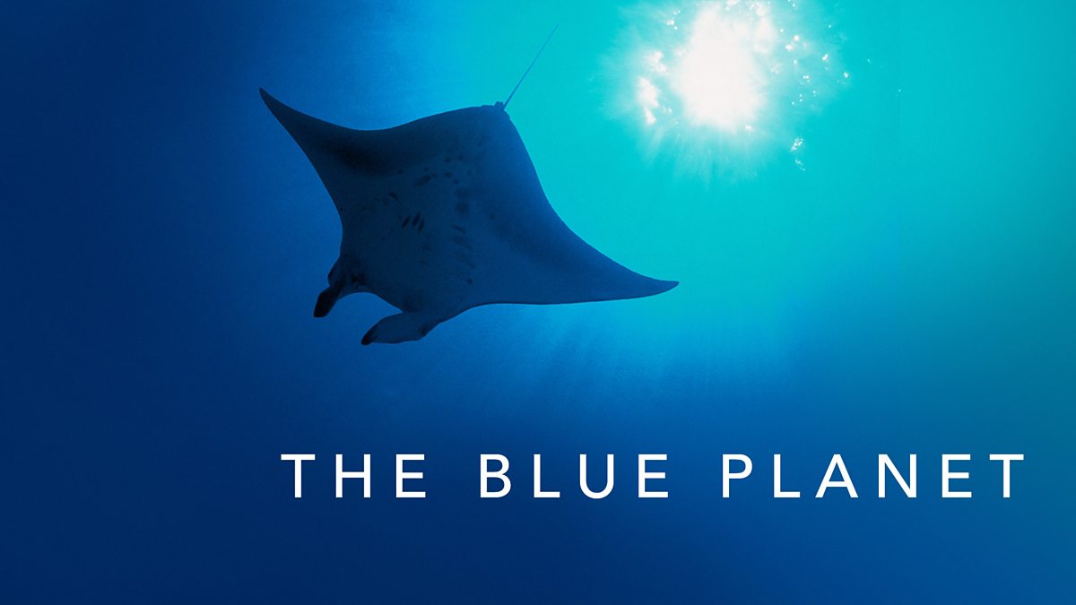 blue planet org