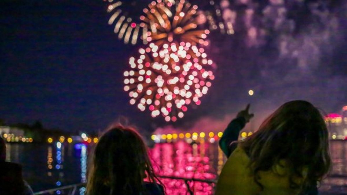 BBC - MPs Call For Ban On Home Fireworks