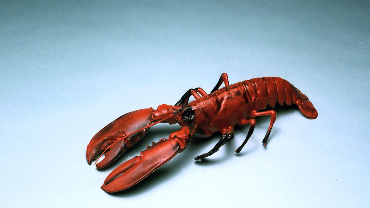 BBC Radio 3 The Essay, Walking The Lobster