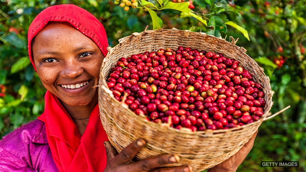 Эфиопия Родина кофе