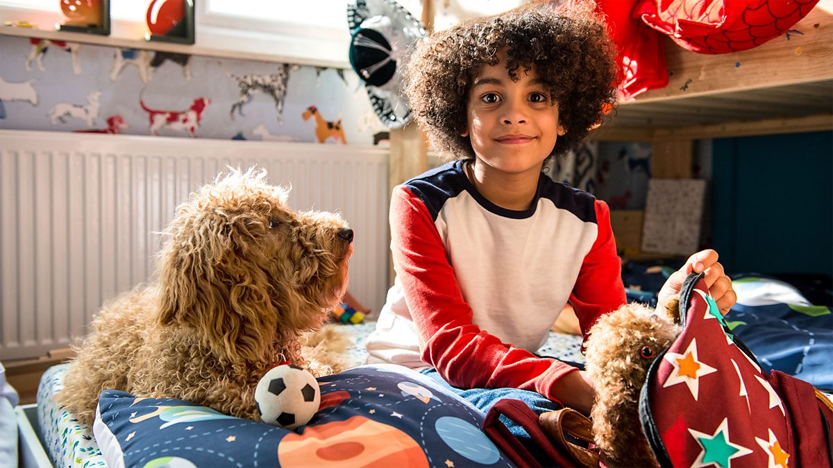 Waffle the Wonder Dog - Series 1: 11. Waffle Misses Doug - BBC iPlayer