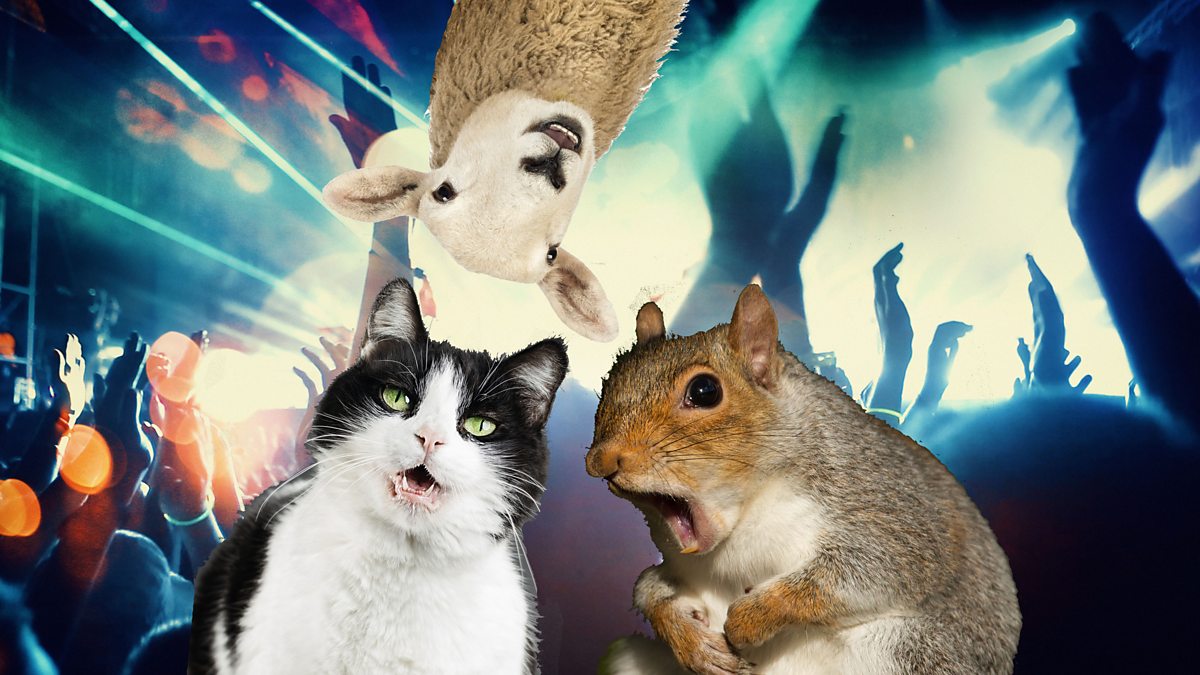 BBC Radio 1 Scott Mills, 29/03/2018, Time for an animal rave