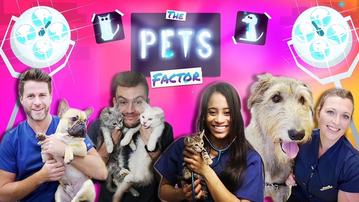 BBC iPlayer The Pets Factor Series 3 Preview