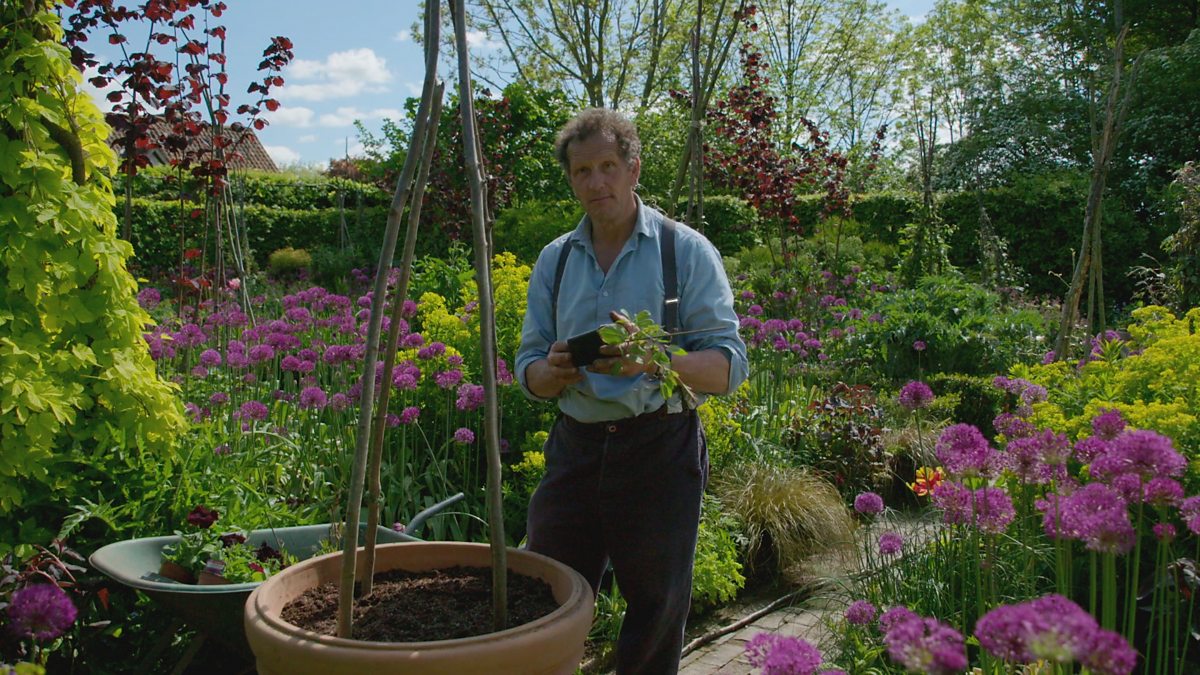 Bbc two gardeners world 2018 episode 10 monty s summer container
