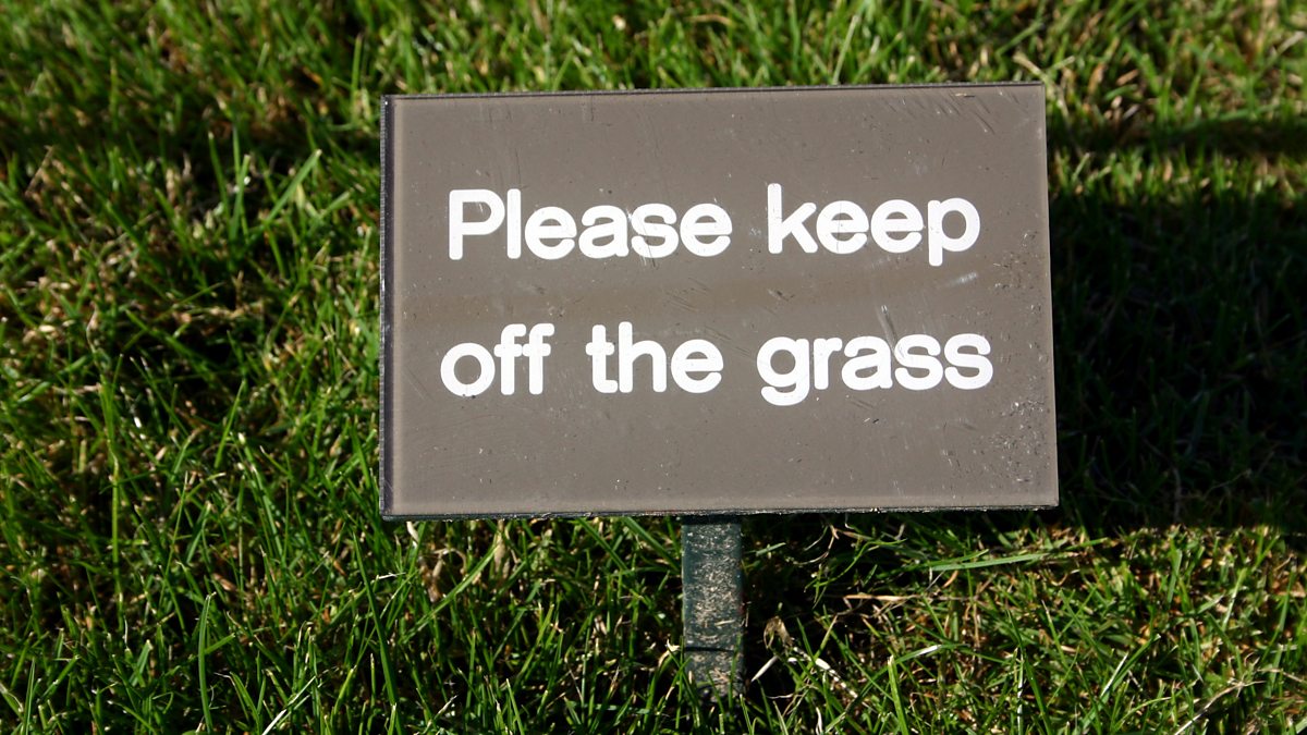 If grass isn t watered it. Keep off the grass. Устойчивое выражение keep the grass. Rules are made to be broken. Keep off the grass sign.