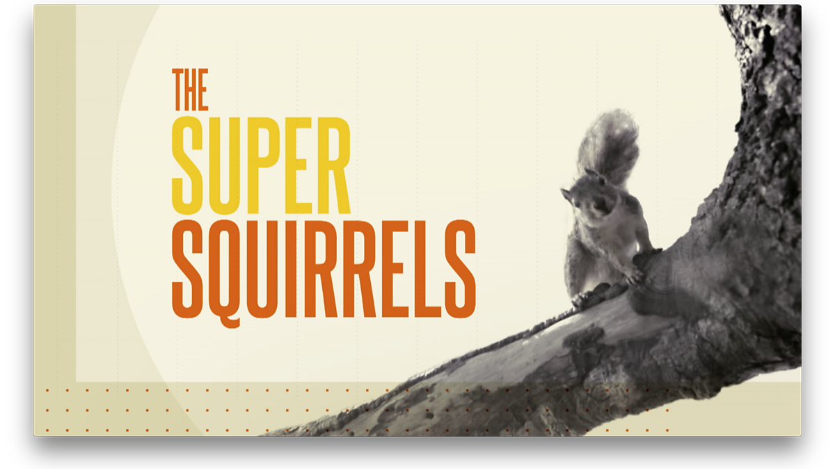 Super Squirrel