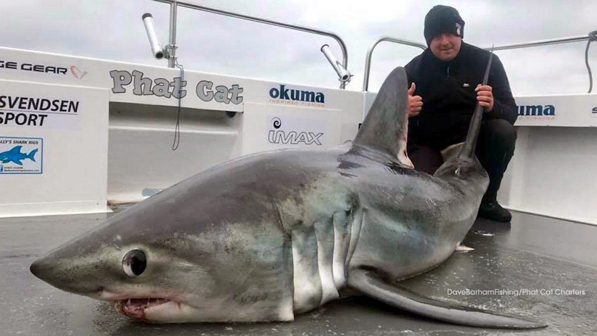 BBC Radio Wales - Good Morning Wales, 15/06/2018, This 23 stone