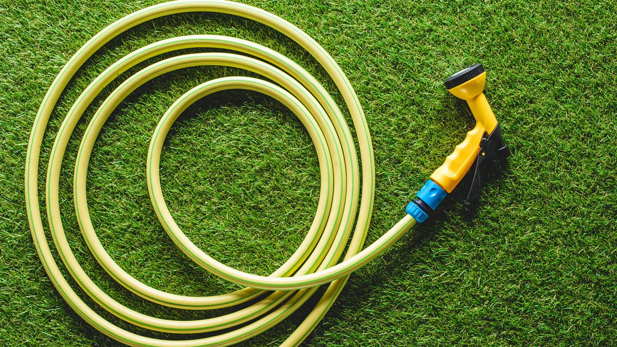 BBC Radio Ulster Gardeners' Corner, Summer Phonein Galleries