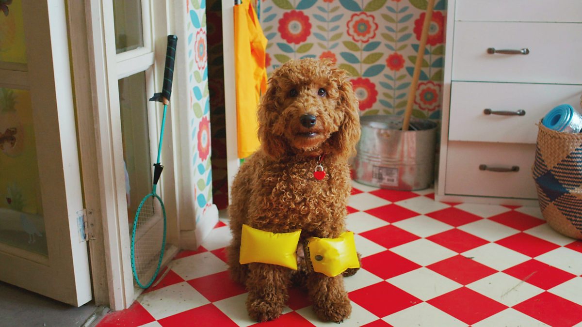 BBC iPlayer Waffle the Wonder Dog Songs 3. We’re Singing About