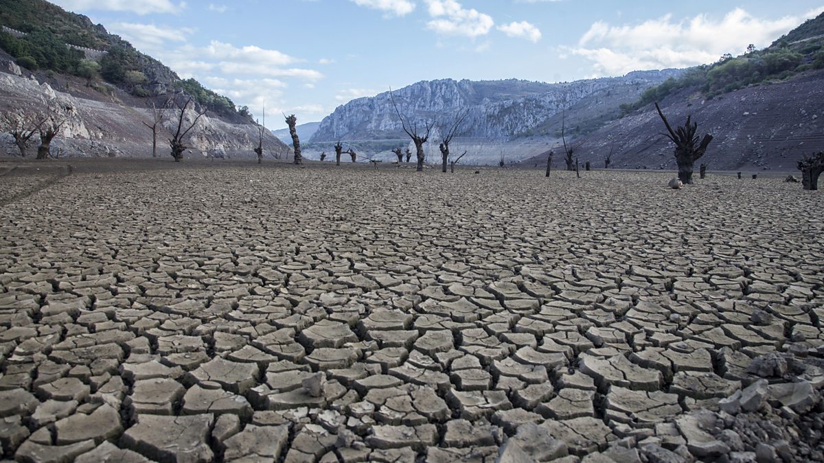 BBC World Service - Unexpected Elements, Heatwaves and Droughts