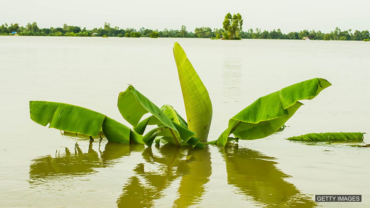 c c Learning English English Together 2 Marathi Episode 10