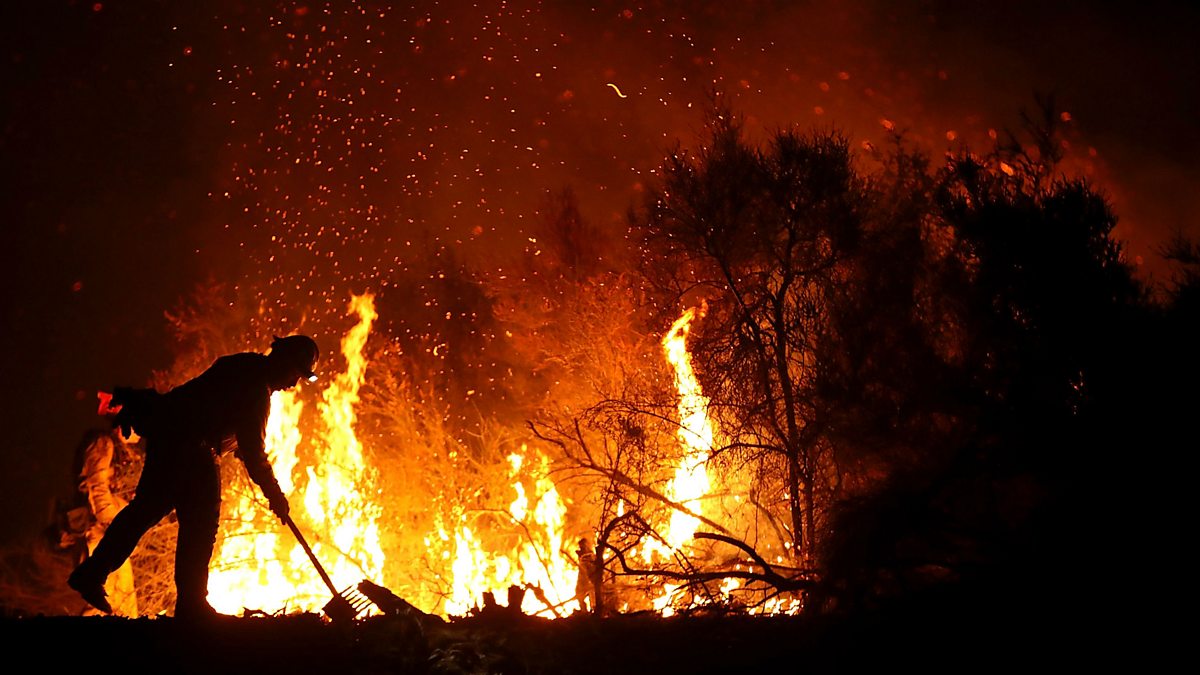 Have a fire. Cal Fire. Which Fire. Fire back