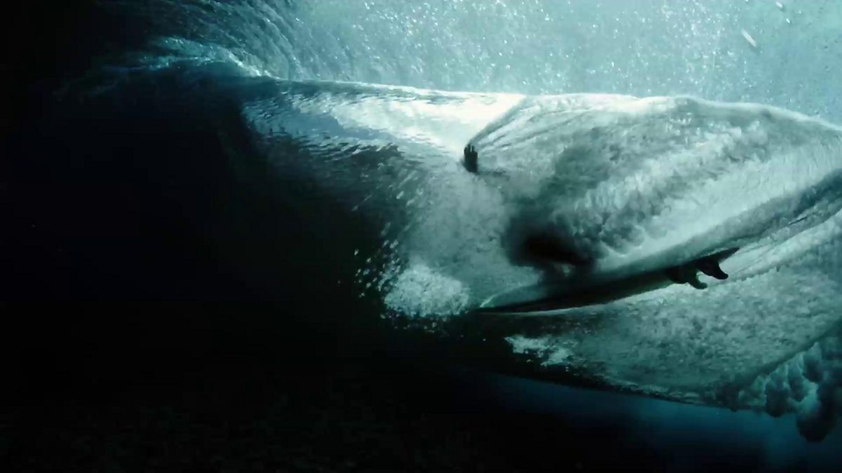 BBC Two - Extraordinary Rituals, Series 1, Changing World, Web ...