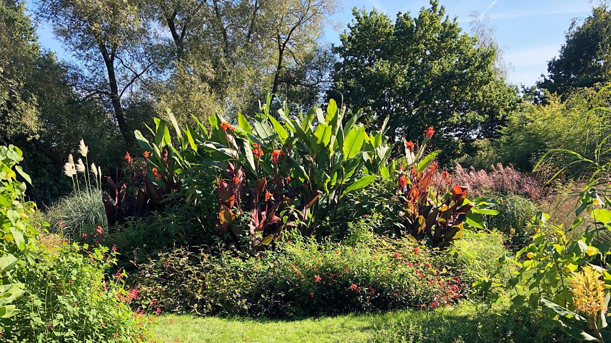 Bbc Radio 4 Gardeners Question Time Birmingham Botanical