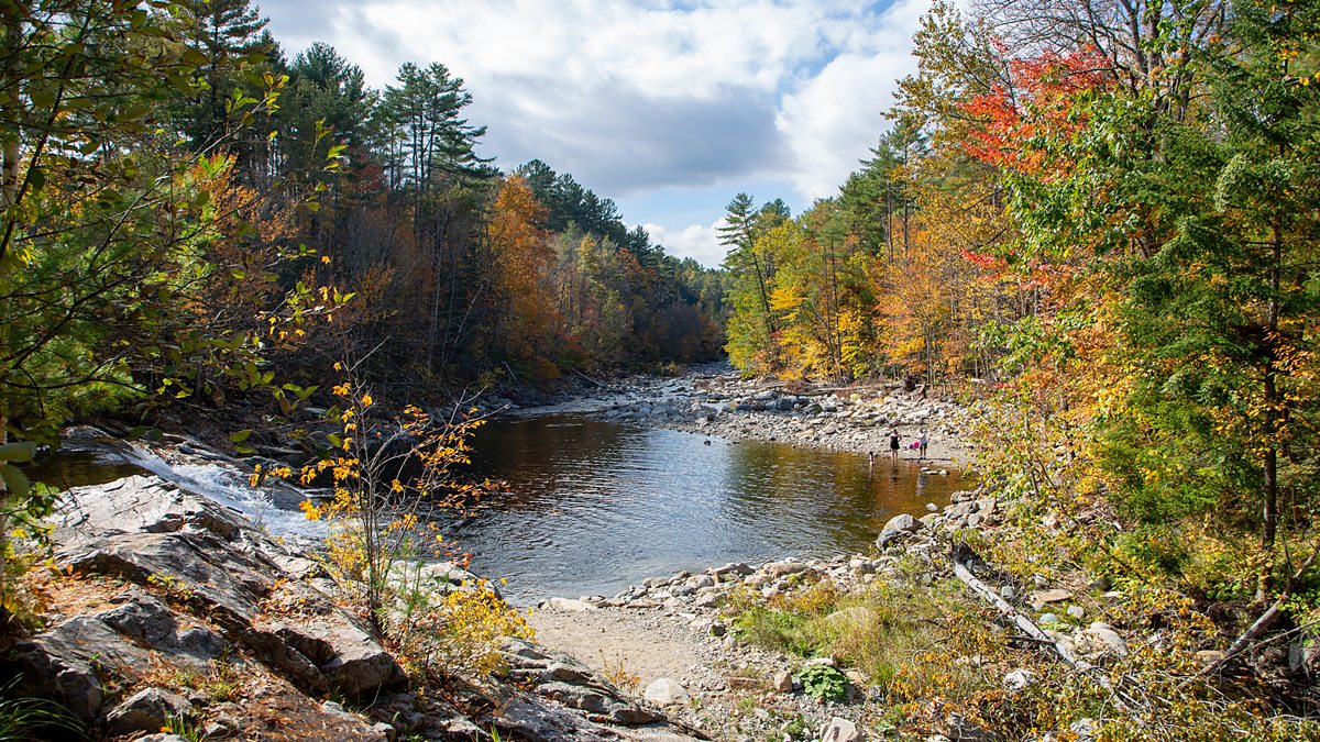 BBC Two - Autumnwatch - Seven classic New England scenes