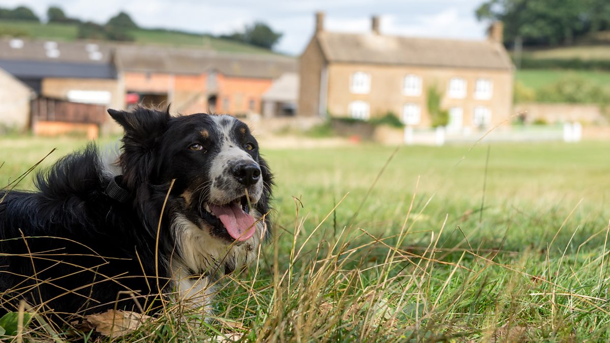 BBC Radio 4 The Archers 4 Things you'll want to know about the new